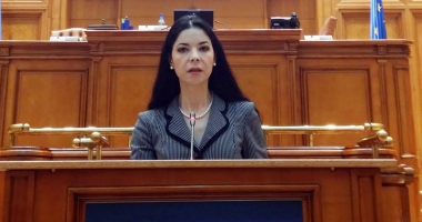 Ana Birchall:  "OUG 13 este  un subiect încheiat"