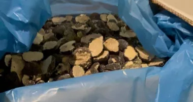 Stire din Eveniment : Evaziune uriașă cu trufe și fructe de pădure. Zeci de tone confiscate în controale fulger