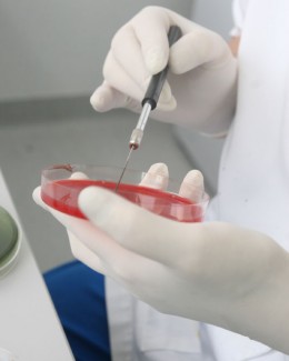 Stire din Sănătate : ANALIZE MEDICALE GRATUITE ÎN CONSTANȚA