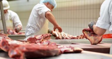 Angajarea prin intermediari interzisă de la anul