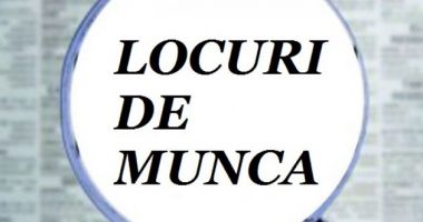 Mii de locuri de muncă vacante pentru șomeri