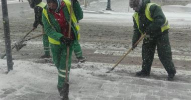 GALERIE FOTO / Angajații de la salubrizare, scoși să curețe zăpada din Constanța - 9