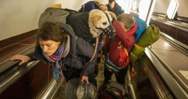 Stire din Actualitate : Animalele de companie ale refugiaților din Ucraina vor putea fi găzduite într-un adăpost specializat din Galaţi