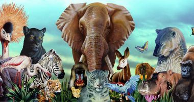 Stire din Actualitate : Aproape jumătate dintre speciile de animale de pe mapamond se află în declin