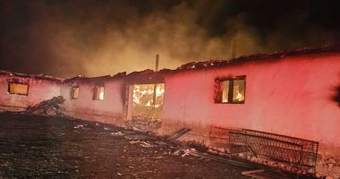 Stire din Eveniment : Sute de animale au murit în urma unui incendiu din județul Constanța
