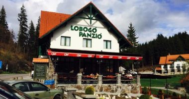 Stire din Eveniment : Trei familii au ajuns la spital după ce au mâncat la un restaurant. Piedone a trimis o echipă în control