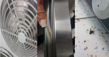 Stire din Social : Mizerie și gândaci într-un cunoscut restaurant din Constanța! S-au aplicat amenzi uriașe