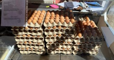 Stire din Social : ALERTĂ ANPC: "Nu cumpărați carne din portbagaje sau ouă de pe marginea drumului. Atenţie şi la preţ!"