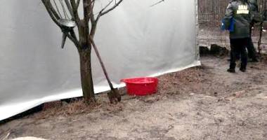 Antifrauda a destructurat un lanț de 40 de firme fantomă ale mafiei petrolului - 2