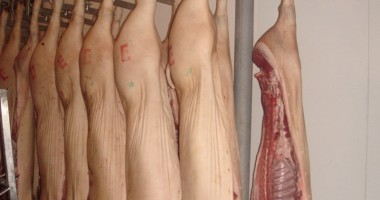 Stire din Economie : Antifrauda câștigă  încă o bătălie  cu mafia cărnii