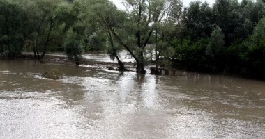 COD GALBEN pe Dunăre!