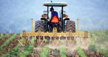 Stire din Social : APIA: Detalii despre fondurile pentru dezvoltarea rurală
