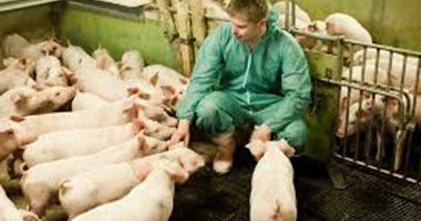 Stire din Economie : APIA eliberează adeverințe pentru crescătorii de animale care vor să ia credite