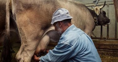 Stire din Economie : APIA eliberează adeverințe fermierilor care doresc să acceseze credite bancare
