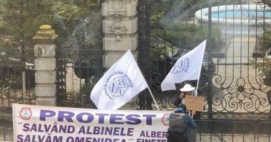 Stire din Economie : Apicultorii au protestat în faţa Ministerului Agriculturii şi a Parlamentului
