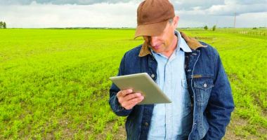 Stire din Economie : Aplicație on-line pentru solicitările de emitere a certificatelor fitosanitare