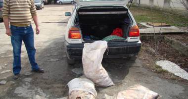 Aproximativ 100 de kilograme de pește, identificate într-o singură mașină - 3