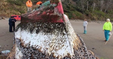 Stire din Actualitate : O navă fantomă, dispărută după tsunami-ul din 2001, DESCOPERITĂ