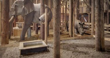 GALERIE FOTO / Un olandez și-a construit o arcă exact ca în Biblie - 4