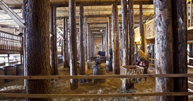 GALERIE FOTO / Un olandez și-a construit o arcă exact ca în Biblie - 7