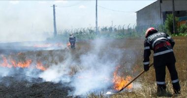 Stire din Eveniment : Amenzi usturătoare pentru arderile de miriști