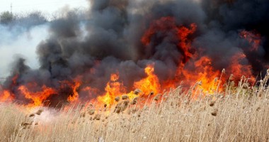 Stire din Eveniment : Arderea vegetației uscate, interzisă astăzi!