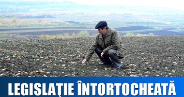 Stire din Cetățenești : Îl poate obliga arendașul pe proprietar să-i vândă lui pământul?