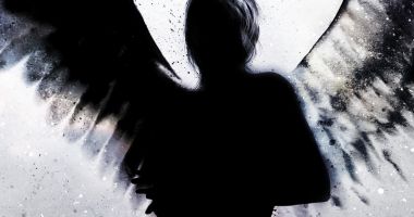 Stire din Eveniment : Campania "Aripi Frânte" a ajuns la final. Ce spune Poliția Română