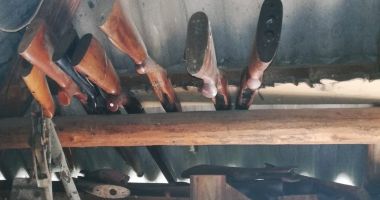 Mii de arme confiscate și permise de port-armă anulate - 3