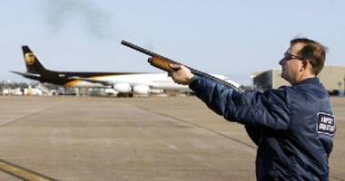 Stire din Economie : Armele de foc vor fi utilizate din nou împotriva păsărilor de pe aeroporturi