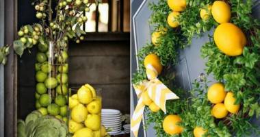 Stire din Diverse : Arome ecologice pentru casa ta