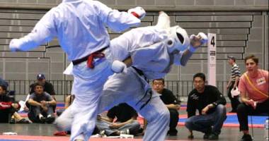 Stire din Sport : Arte marțiale: Ediția a VI-a a Cupei Internaționale de Karate Kyokushinkai are loc la Sibiu