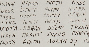 Stire din Diverse : A fost găsit un mesaj secret din cel de-al doilea război mondial. Porumbelul voiajor nu a mai ajuns la destinație!