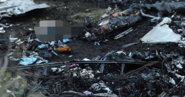 Foto și Video. Blestemul Malaysia Airlines se repetă! Un Boeing 777 cu 295 de pasageri, prăbușit în Ucraina. "Nu este un accident, ci un act terorist" - 8