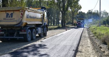 Stire din Social : Drumari orbi! Au turnat asfalt peste un câine mort pe o şosea în construcție