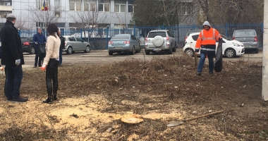 Stire din Social : FOTO. Asistații social, scoși la curățenie pe faleze și pe plaje
