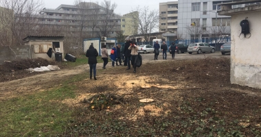 FOTO. Asistații social, scoși la curățenie pe faleze și pe plaje - 5
