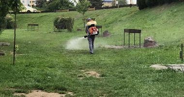 Stire din Politică-Administrație : Primăria Constanța a început acțiunile de dezinsecție