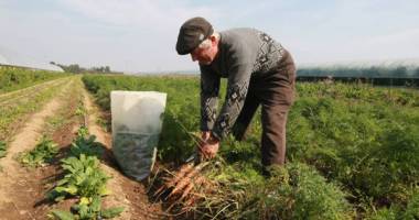 Stire din Economie : Atenție fermieri! A început campania de a cererilor unice de plată