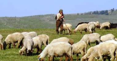 Stire din Economie : ANUNȚ IMPORTANT / Se întâmplă din 2016