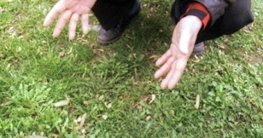 Stire din Eveniment : Atenție mare la munițiile vechi găsite în pământ. Iată cum trebuie să procedezi