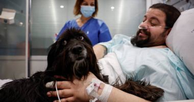 Un spital folosește animalele de companie pentru a le alina suferința bolnavilor internați la ATI