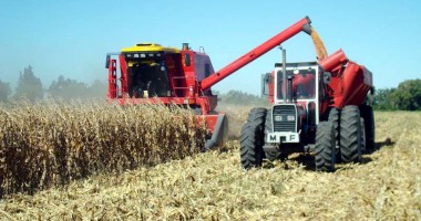 Stire din Economie : Ați depus declarația privind veniturile din activități agricole?