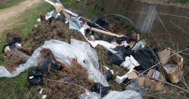 Gunoaie aruncate pe malul Canalului Poarta Albă - Midia. Clubul NUBA, vinovat? - 3