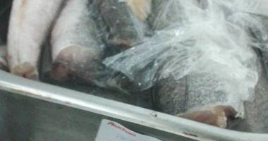 Mâncarea de la Auchan a băgat 18 persoane în spital. Comisarii OPC au găsit peste 140 kg de preparate alterate - 8