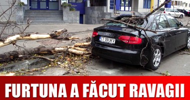 Stire din Social : DEZASTRU. Audi, distrus de un copac căzut pe strada Traian - GALERIE FOTO