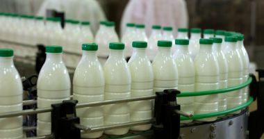 Stire din Economie : Audit al CE în România, pe întreg lanţul de producţie a laptelui