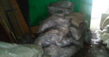 Stire din Eveniment : Au făcut avere  din cereale furate!  17 bărbați, arestați  de polițiștii constănțeni