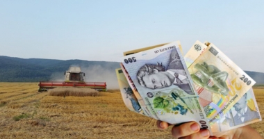 Stire din Economie : Au fost aprobate plafoanele ajutoarelor pentru sectorul vegetal și cel animal