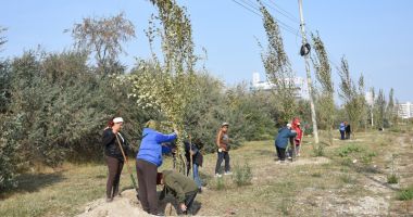 Stire din Social : Au început plantările de toamnă, la Constanța